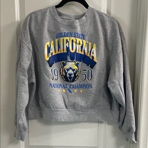 Modern Lux Gray California Champion Sweater
